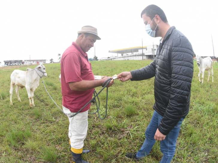 Foto: Divulgação