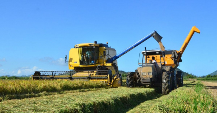 Produtores catarinenses apostam no exterior para reduzir a crise no arroz | Foto: Prefeitura de Tubarão/Divulgação/4Oito