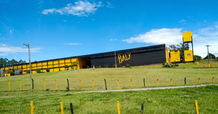 Baly declara manter compromisso com a legalidade | Foto: Reprodução