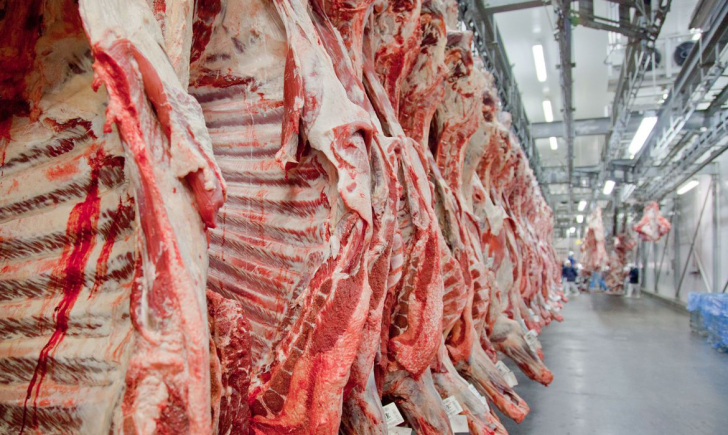 Santa Catarina deve sentir poucos efeitos com a decisão e barrar a exportação de carne  I Foto: Gov/4oito