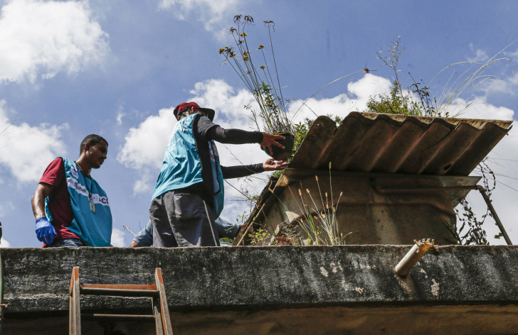 Eliminação de criadouros é a melhor forma de prevenir (Foto: Paulo Pinto/Agência Brasil)