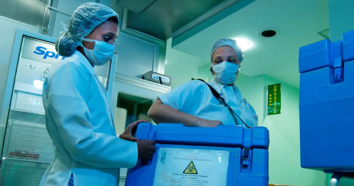 Setembro Verde busca ampliar a conscientização sobre a doação de órgãos e o transplante no Brasil | Foto: Ministério da Saúde/4oito
