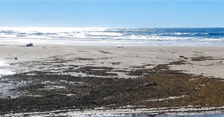 O recuo do nível do mar está relacionado à atuação de um ciclone em alto-mar | Foto: Imagem melhorada com auxilio de IA/4oito
