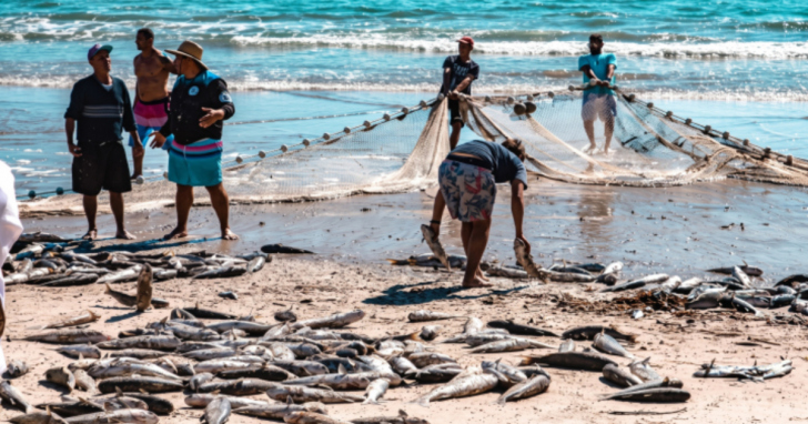 Ministério de Pesca e Aquicultura autoriza construção de galpão destinados ao abrigamento de barcos e materiais de pesca | Foto: Divulgação/UFSC