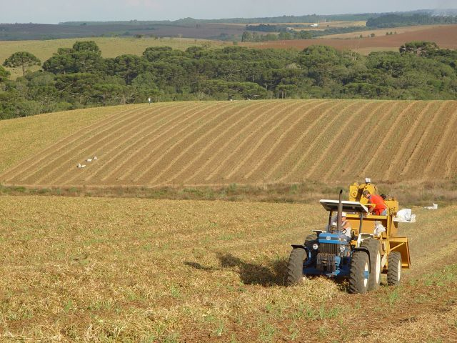 Foto: Aires Mariga/ Epagri