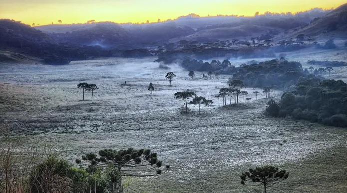 A geada desta sexta na Serra / Foto: Mycchel Legnaghi / São Joaquim Online