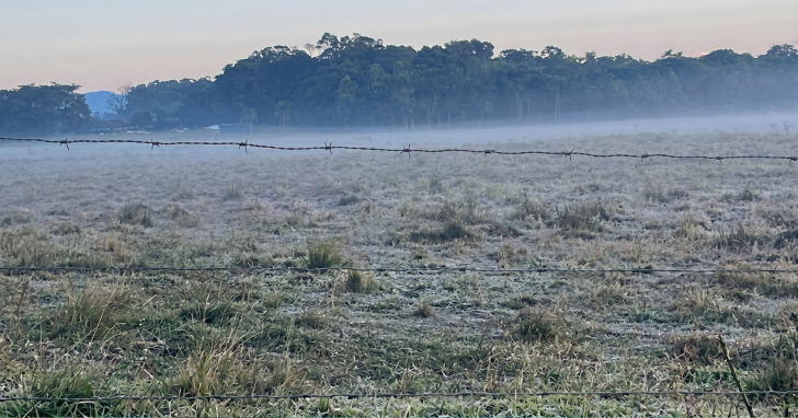 Dia será marcado por frio intenso no Sul de Santa Catarina, com mínimas próximas de zero e chance de geada I Foto: Especial/4oito