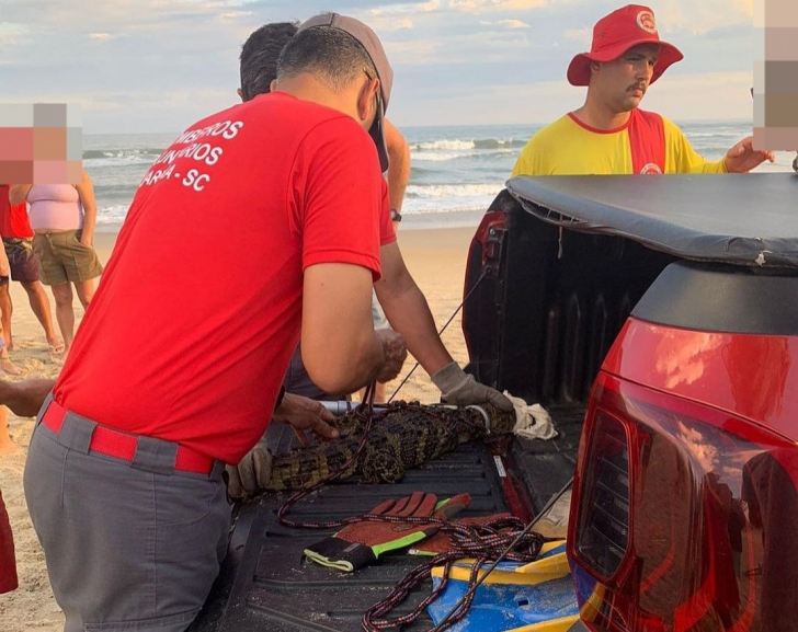 Foto: Divulgação/Bombeiros Voluntários de Jaguaruna