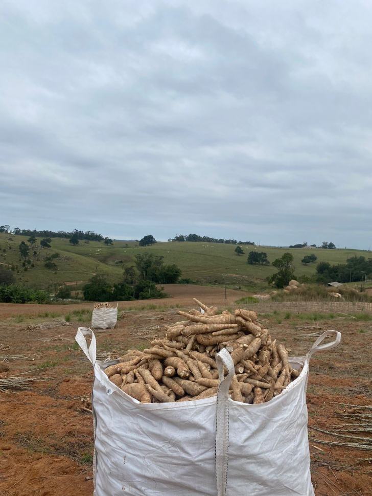 Foto: Divulgação/ Rocha Alimentos