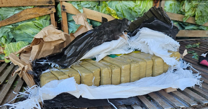 Entre as caixas de repolho, foram encontrados 2.739 tabletes de maconha | Foto: PRF/Divulgação
