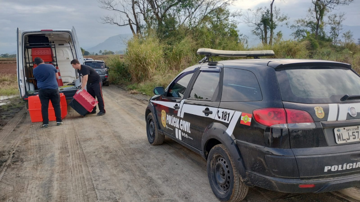 Foto: Divulgação/ Polícia Civil