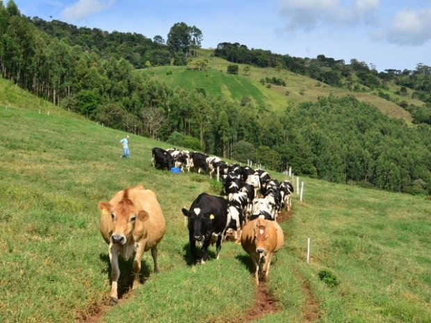 Foto: Aires Mariga/ Epagri