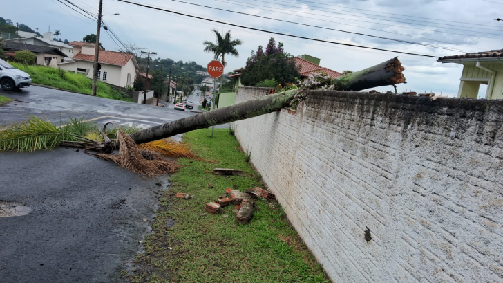 Foto: Divulgação/CBMSC