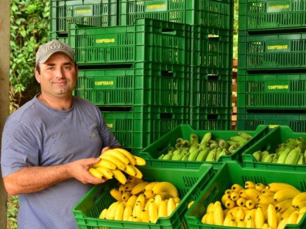 Foto: Nilson Teixeira/ Epagri