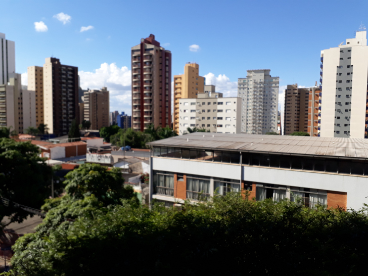 Diário de Campinas: Tigre na metrópole do interior