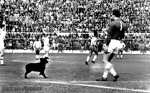 Faltam 222 dias para o início da Copa do Mundo na Rússia