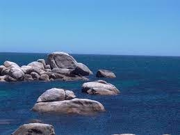 Os versos que te dou nas pedras do caminho e no mar português