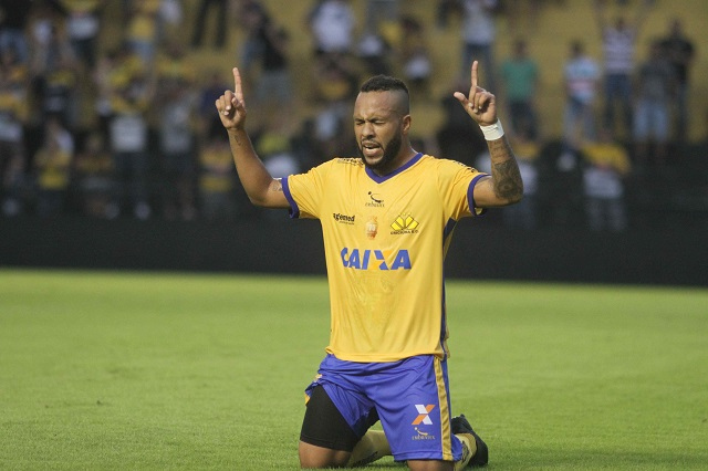 O Tigre quase de azul. De novo
