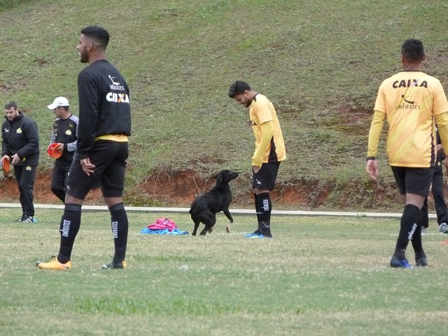 Treino com frio, time mudado e até um cachorro