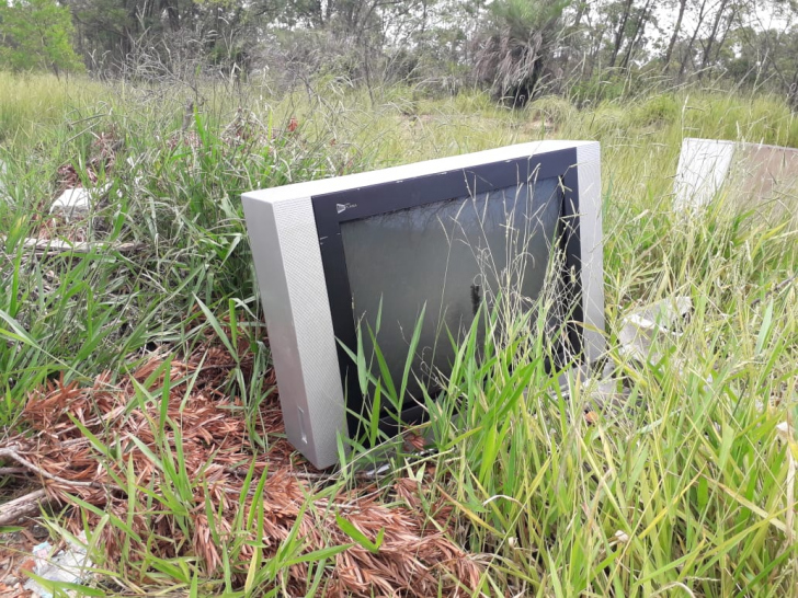 Em tempos de limpeza, os imundos no Rincão