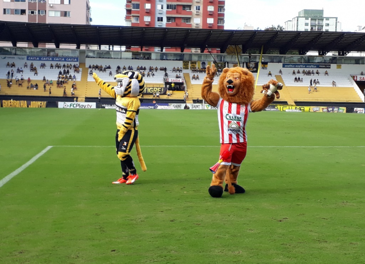 Tigrão, Leão e ainda o Tubarão na elite