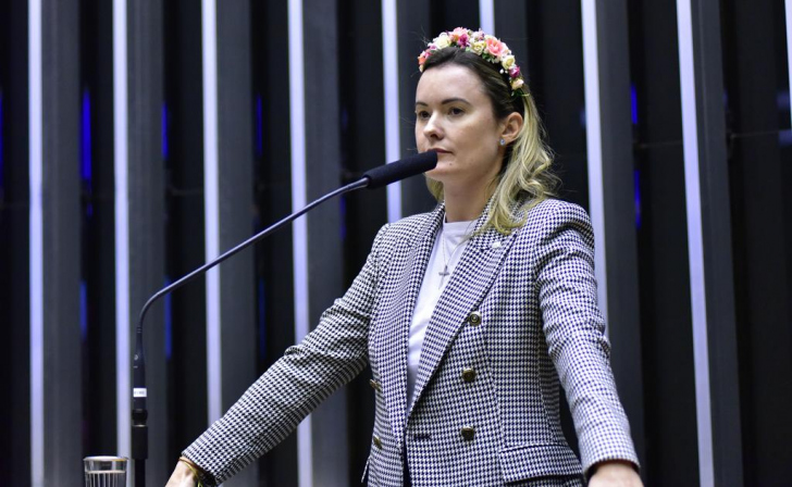 Golpe do consignado: Júlia Zanatta propõe multa para empréstimos não solicitados