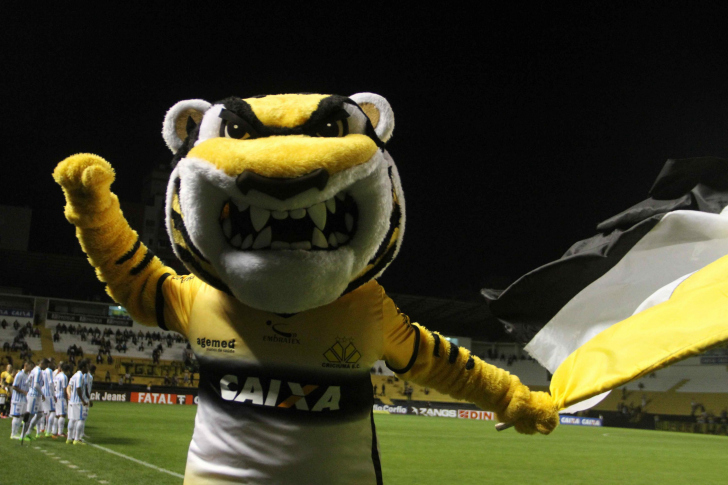 Vem aí o Tigrinho, novo mascote do Criciúma