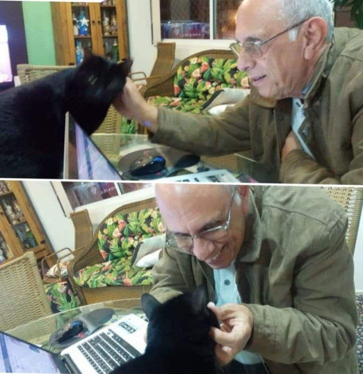 Ode ao nosso valoroso Félix, gato heróico, companheiraço, que se foi numa madrugada morna de março