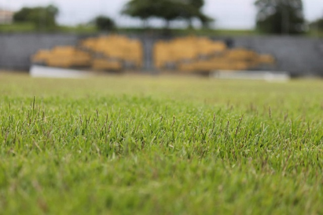 Pré-temporada: primeiro trabalho no gramado pode ser na sexta-feira