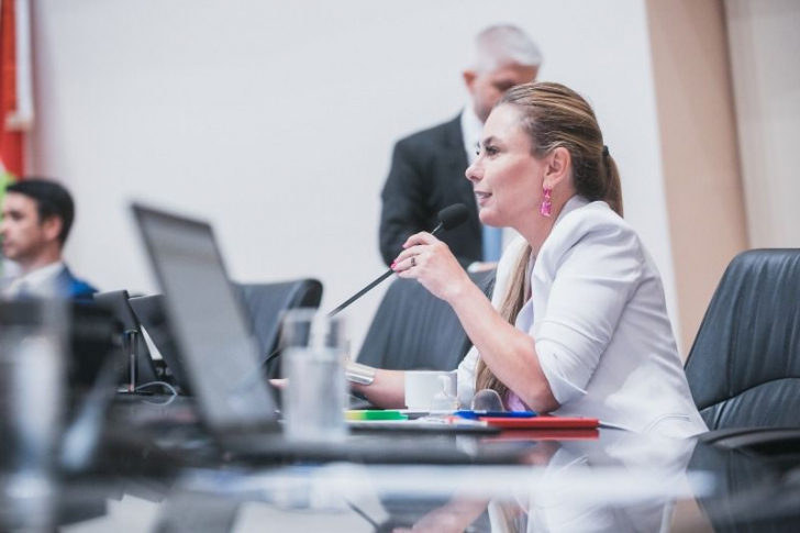 Paulinha preside sessão ordinária na Alesc em comemoração ao mês da Mulher