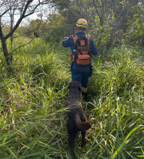 Notícia - Idoso segue desaparecido em Forquilhinha