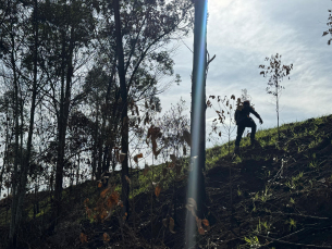 Notícia - Desaparecimento de idoso mobiliza Bombeiros em Forquilhinha