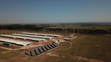 Notícia - Em SC, mais de 70% das granjas da Seara já utilizam energia solar