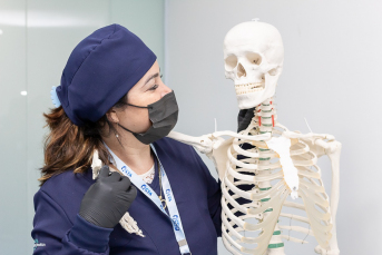 Notícia - MEC cria grupo de trabalho para intensificar os avanços na educação na área de estética no Brasil