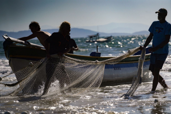 Notícia - Governador vai ao STF para reverter medida de cotas para a pesca da tainha
