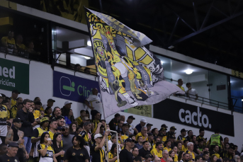 Notícia - Tigre mostra as garras e vence o Coelho em jogo eletrizante
