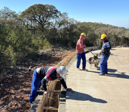 Notícia - [Áudio] Pavimentação da Serra do Faxinal deve ser concluída até novembro