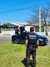 Notícia - Mãe presta depoimento após filha de 2 anos ser encontrada morta dentro de casa