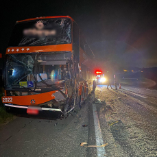Notícia - Motorista de ônibus morre em grave acidente na BR-101
