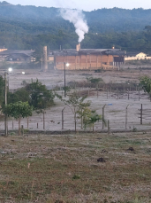 Notícia - Tá frio aí? Geada cobre região de Criciúma nesta quarta-feira; veja as fotos