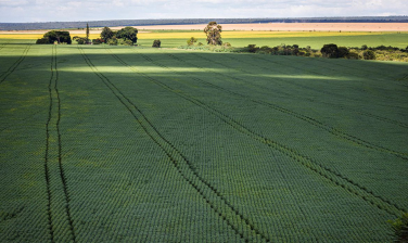 Notícia - Estudo aponta desafios do seguro rural em meio a mudanças climáticas