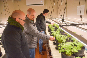 Notícia - Container de cultivo automatizado da Satc recria qualquer clima e acelera testes agrícolas