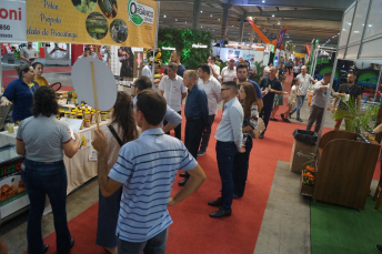 Notícia - Feira AgroPonte 2025 apresenta atividades voltadas ao fortalecimento do setor agropecuário