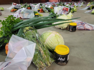 Notícia - Agricultores familiares garantem alimentos a famílias em vulnerabilidade em Urussanga