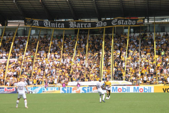 Notícia - Tigre tem o recorde de público em Santa Catarina em 2022