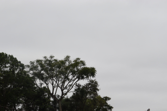 Notícia - Sul de SC terá final de semana de tempo nebuloso, com risco de temporais isolados