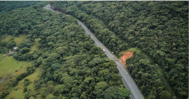 Notícia - Pacote de 14 bandeiras pressiona por rodovias, hospital e gás mais barato em SC