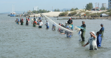 Notícia - Após mais de 20 anos de espera, pesca artesanal do camarão ganha regulamentação histórica em SC