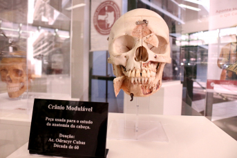 Notícia - Museu da Odontologia de SC realiza exposição na Unesc