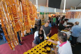 Notícia - [Áudio] Feira do Mel 2025 projeta venda recorde no país